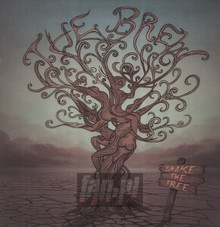 Shake The Tree - The Brew