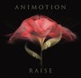 Raise Your Expectations - Animotion