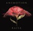 Raise Your Expectations - Animotion