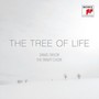 Tree Of Life - Daniel Taylor