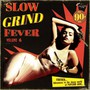 Slow Grind Fever 06 - V/A