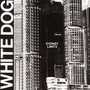 Sydney Limits - White Dog