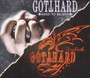 Need To Believe / Firebirth - Gotthard