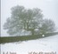 Hymns Of The 49TH Parallel - K.D. Lang Hymns Of The 49TH Parallel - K.D. Lang