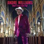 Don't Ever Give Up - Andre Williams