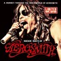 Rockin Roots Of Aerosmith - Aerosmith
