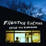 Enter The Kingdom - Frontier Ruckus
