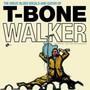 Great Blues Guitar - T Walker -Bone