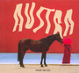 Future Politics - Austra
