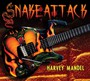 Snake Attack - Harvey Mandel