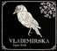 Paper Birds - Vladimirska Paper Birds - Vladimirska