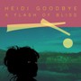 A Flash Of Bliss - Heidi Goodbye