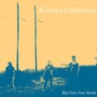 Big Cats Can Swim - Eureka California