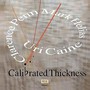 Calibrated Thickness - Uri Caine