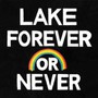 Forever Or Never - Lake