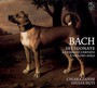Sonaten Fuer Violine & Ce - J.S. Bach