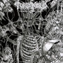 Primordial Malignity - Tomb Mold