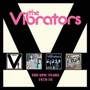 The Epic Years 1976-78: 4CD Boxset - The Vibrators