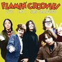 Live 1971 San Francisco - Flamin' Groovies
