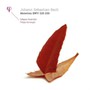 Bach: Motetten BWV 225-230 - Bach  / Philippe   Herreweghe  /  Collegium Vocale Gent