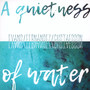 A Quitness Of Water - Peter Evans  /  Agusti Fernandez  /  Mats Gustafsson
