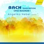 Various - Angelika Nebel