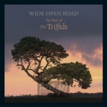 Wide Open Road: Best Of The Triffids - The Triffids