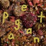 Pageant - PWR BTTM