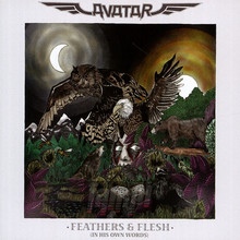 Feathers & Flesh - Avatar