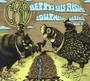 Betty's Self-Rising Southern Blends vol. 3 - Chris Robinson  -Brotherhood-