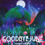 Magic Valley - Goodbye June