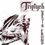 Triptych - Bevis Frond