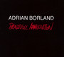 Beautiful Ammunition - Adrian Borland