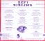 Beyond The Things I Know - Sefi Zisling