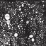 As Light Returns - The Telescopes