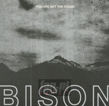 You Are Not The Ocean You Are The Patient - Bison - powiększ You Are Not The Ocean You Are The Patient - Bison