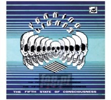 Fifth State Of Consciousness - Peaking Lights