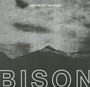 You Are Not The Ocean You Are The Patient - Bison