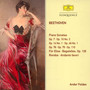 Beethoven: Van Piano Sonatas & Variations - Andor Foldes