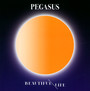 Beautiful Life - Pegasus