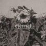 Eternal - An Autumn For Crippled Children