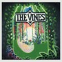 Highly Evolved - The Vines