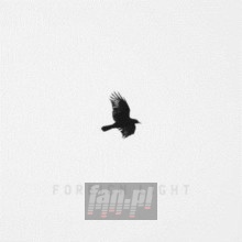 Foreign Light - Toddla T