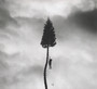 Black Mile To The Surface - Manchester Orchestra