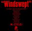 Windswept - Johnny Jewel