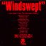 Windswept - Johnny Jewel