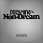 Dreaming In The Non-Dream - Chris Forsyth