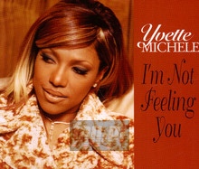 I'm Not Feeling You - Yvette Michele