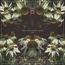 Lost - Stargazer Lilies