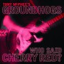Who Said Cherry Red - Tony  McPhee  /  Groundhogs